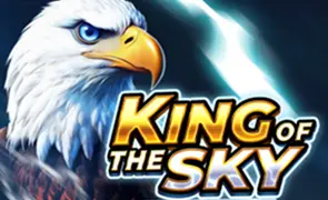 King of the Sky King of the Sky